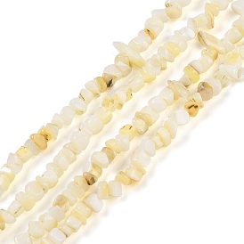Natural Freshwater Shell Beads Strands, Nuggets