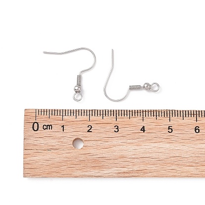 304 Stainless Steel Earring Hooks, with Horizontal Loop