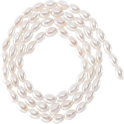 1 Strand Electroplate Natural Freshwater Shell Beads Strands, Rice