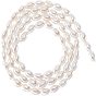 1 Strand Electroplate Natural Freshwater Shell Beads Strands, Rice