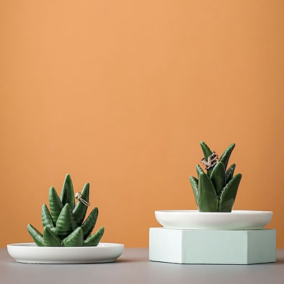 Bandeja porta joyas con forma de aloe de porcelana, para guardar pequeñas joyas, Anillos, , Aretes, Esposas, baratija, para mujeres niñas regalo de cumpleaños