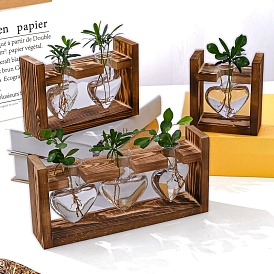 Glass Hydroponics Container Desktop Art Decoration, with Wood Finding, Coconut Brwon