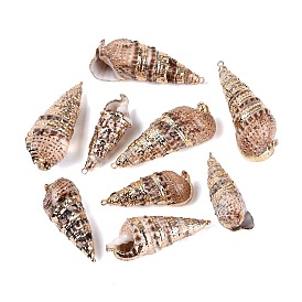 Pendentifs en spirale naturelle galvanoplastie, charmes de conque, avec des anneaux en fer et des apprêts en laiton, or et de lumière
