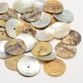 Flat Round Natural Akoya Shell Beads, Mother of Pearl Shell Beads, 23x1~1.5mm, Hole: 1mm, about 720pcs/bag