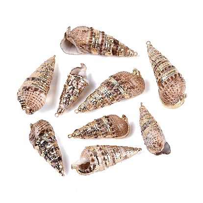 Pendentifs en spirale naturelle galvanoplastie, charmes de conque, avec des anneaux en fer et des apprêts en laiton, or et de lumière