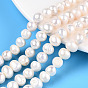 Natural Cultured Freshwater Pearl Beads Strands, Potato
