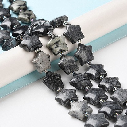 Natural Black Silk Stone/Netstone Beads Strands, with Seed Beads, Star