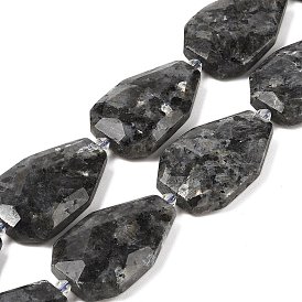 Natural Larvikite Beads Strands, Faceted Teardrop