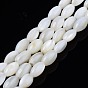 Freshwater Shell Beads Strands, Undyed, Oval