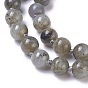 Natural Labradorite Beaded Necklace, with Stainless Steel Clasps