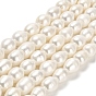 Natural Cultured Freshwater Pearl Beads Strands, Rice, Grade A