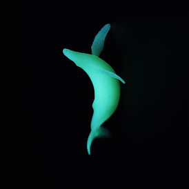 Whale Shaped Plastic Decorations, Luminous/Glow in the Dark, for DIY Silicone Molds
