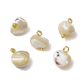Подвески из натуральных ракушек-трохус с латунными петлями
