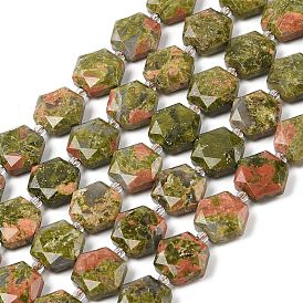 Natural Unakite Beads Strands, with Seed Beads, Faceted Hexagonal Cut, Hexagon