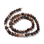 Natural Petrified Wood Beads Strands, Faceted(128 Facets), Round
