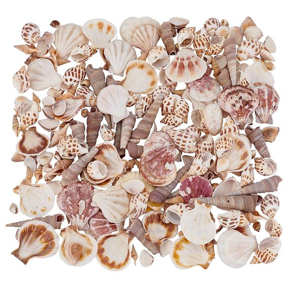Natural Shell Beads, No Hole/Undrilled