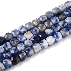 Natural Blue Spot Jasper Beads Strands, Faceted, Cube