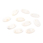 Natural Freshwater Shell Links, Oval