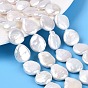 Natural Baroque Keshi Pearl Coin Beads Strands, Nucleated Pearl, Flat Round