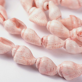 Natural Sea Shell Conch Bead Strands, Dyed, Pink