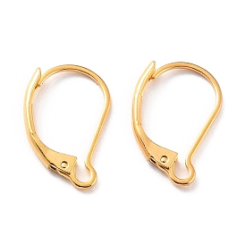 Placage ionique (ip) 304 conclusions de boucles d'oreilles à levier en acier inoxydable