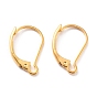 Placage ionique (ip) 304 conclusions de boucles d'oreilles à levier en acier inoxydable