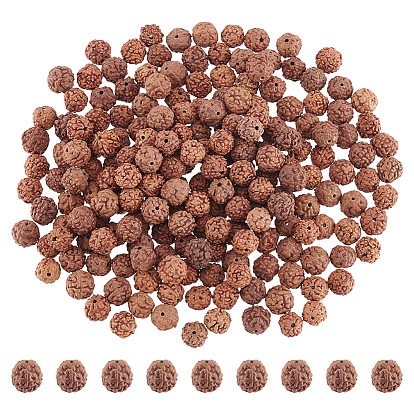 200шт. неокрашенные натуральные бусины рудракши, круглые