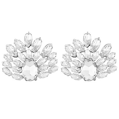 1 Pair Detachable Flower Shoe Decoration, with Iron Buckle Clip, Crystal Glass Rhinestone