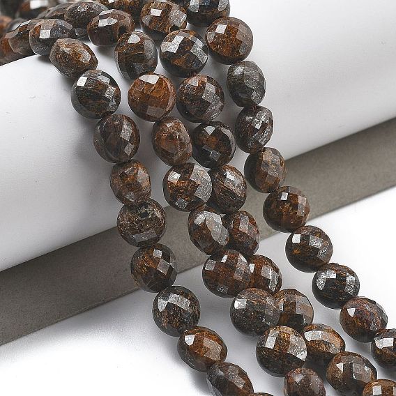 Природные бронзитом бисер нитей, граненые, плоско-круглые