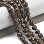Природные бронзитом бисер нитей, граненые, плоско-круглые
