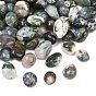 Cuentas de ágata de musgo natural,, piedra caída, pepitas, sin agujero / sin perforar, Gemas para rellenar jarrones/sin perforar, gemas de relleno de jarrones