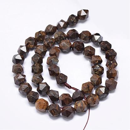 Natural Bronzite Beads Strands, Star Cut Round Beads, Faceted