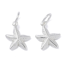 Латунные подвески, долговечный, без кадмия и без свинца, прелести морская звезда, с целью перехода в кольце