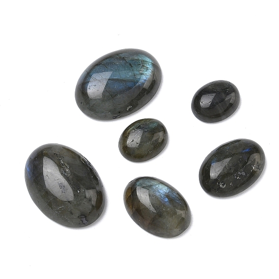 Природные кабошон лабрадора, овальные