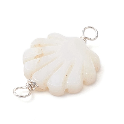 Natural Freshwater Shell Connector Charms, Shell Shaped Links with Copper Loops