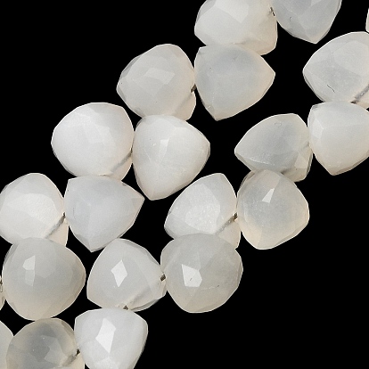 Natural White Moonstone Beads Strands, Triangle, Faceted, Top Drilled, with Tassel