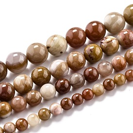 Natural Petrified Wood Beads Strands, Round