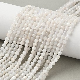 Chapelets de perles naturelles moonstone  , ronde, facette