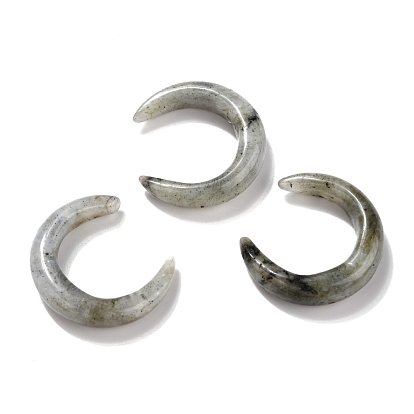 Natural Labradorite Beads, No Hole, for Wire Wrapped Pendant Making, Double Horn/Crescent Moon