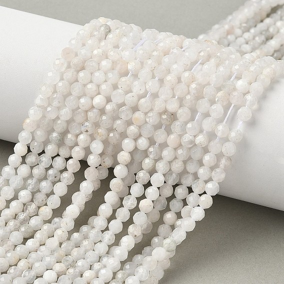 Natural Moonstone Beads Strands, Round, Faceted