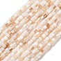 Natural Freshwater Shell Beads Strands, Disc, Heishi Beads