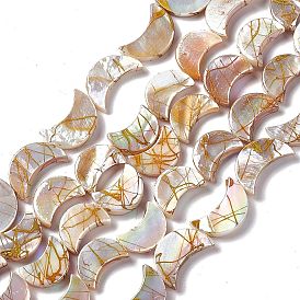 Brins de perles de coquille d'eau douce naturelles de style drawbench, de couleur plaquée ab , lune