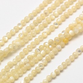 Perlas de cuentas redondas de concha, color natural