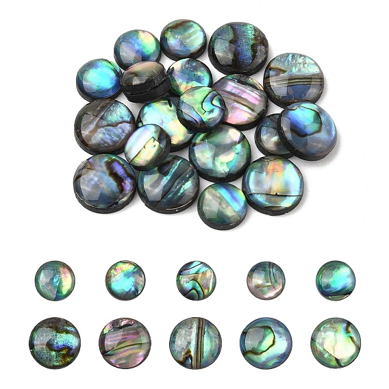 20шт 2 стили натуральные кабошоны из ракушки пауа, полукруглые / купольные