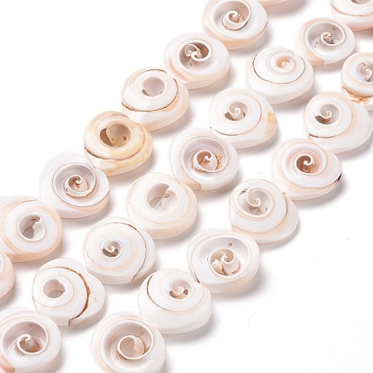 Natural Spiral Shell Beads Strands, Heart, Seashell Color