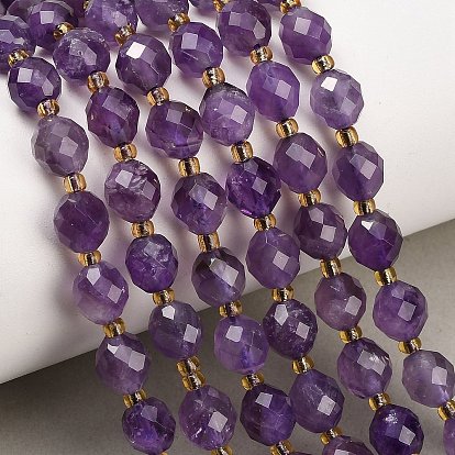 Natural Amethyst Beads Strands, Round, Faceted, with Seed Beads