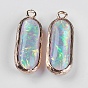 Resin Pendants, with Brass Findings, Oval, Light Gold