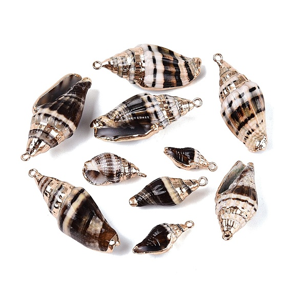 Pendentifs en spirale naturelle galvanoplastie, charmes de conque, avec des anneaux en fer et des apprêts en laiton, or et de lumière