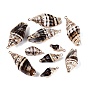 Pendentifs en spirale naturelle galvanoplastie, charmes de conque, avec des anneaux en fer et des apprêts en laiton, or et de lumière