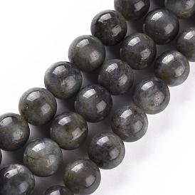 Natural Black Labradorite Beads Strands, Round
